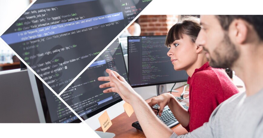 Senior Citrix Engineer 80-100%, 1. Bild